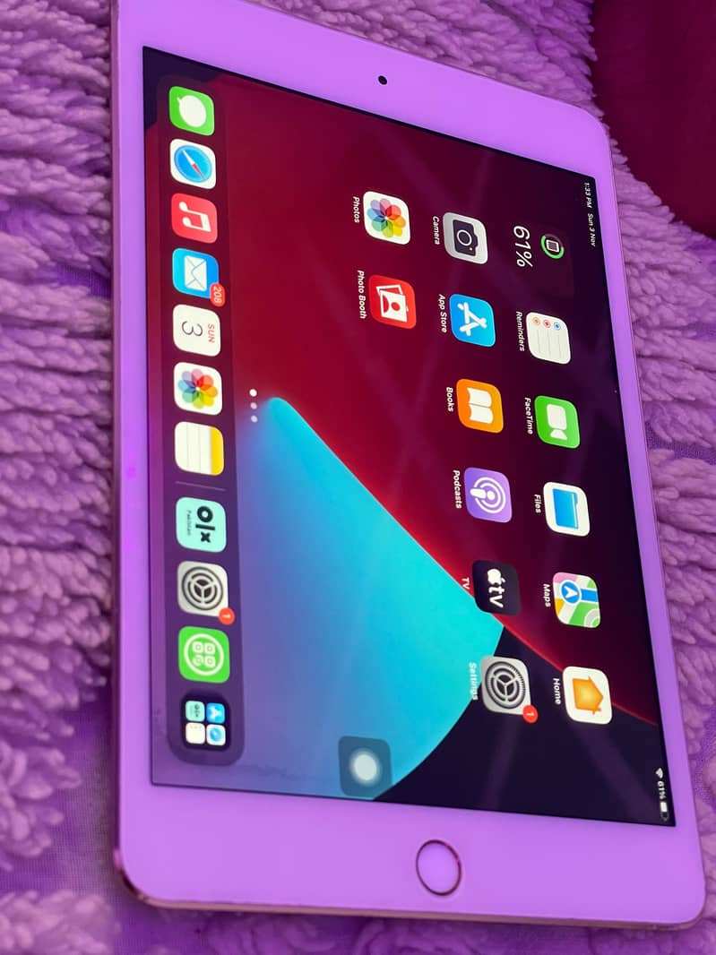 Ipad mini 4 Gold colour 12