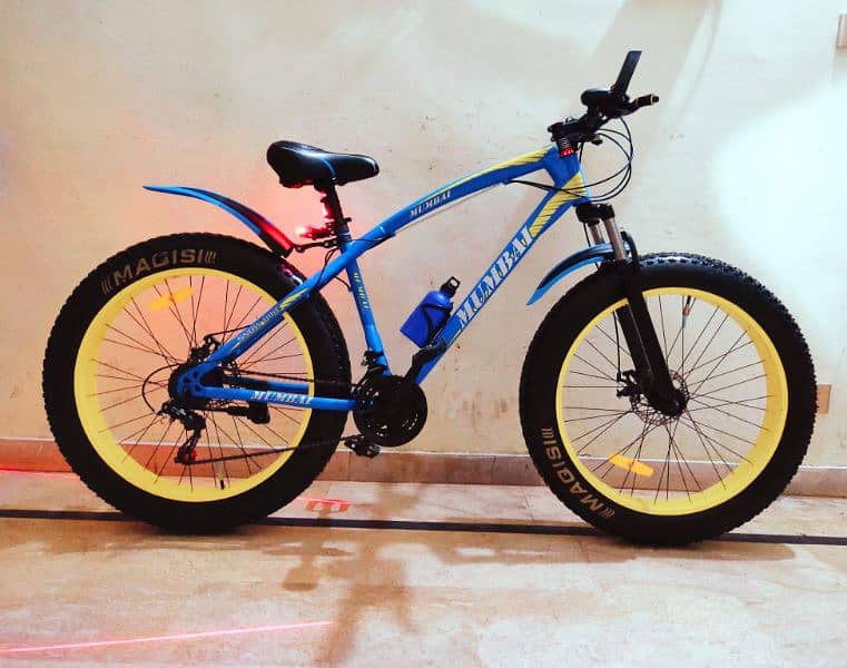 Imported MTB Fat Bike Aluminum Frame 10