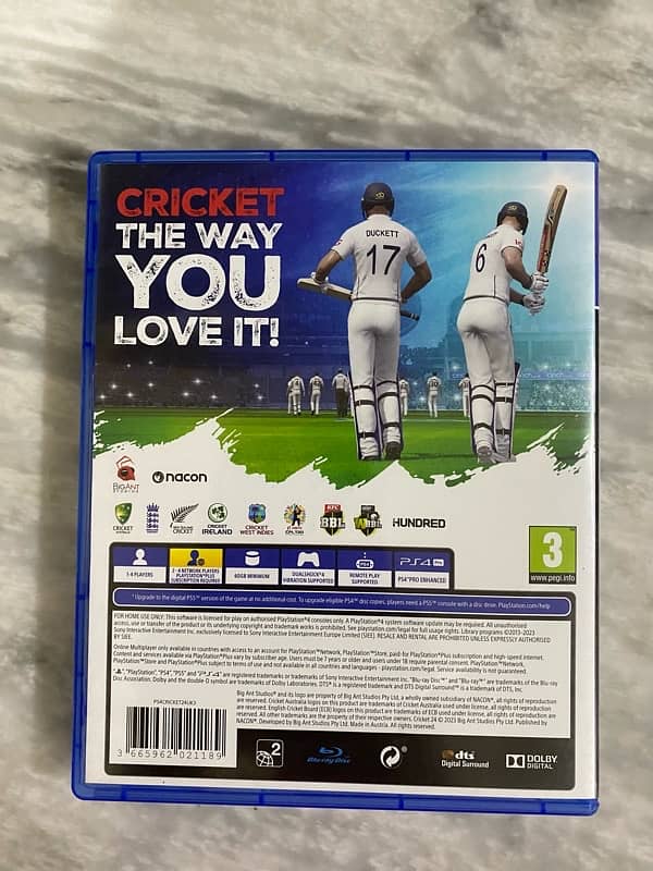 best game for cricket lovers 1