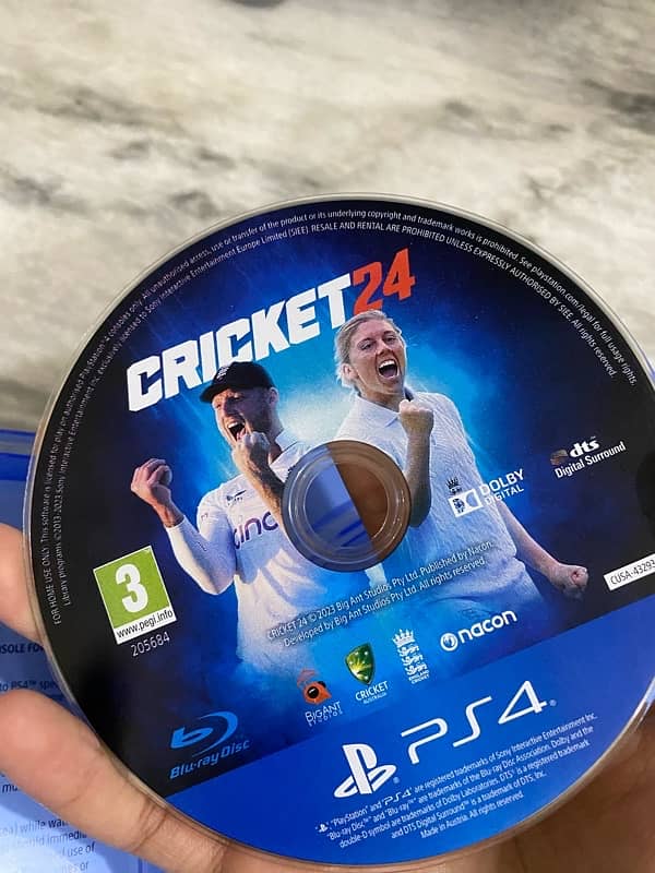 best game for cricket lovers 3