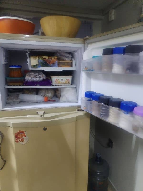 Pel refrigerator 7