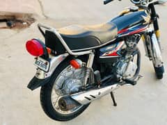 Honda 125 2019