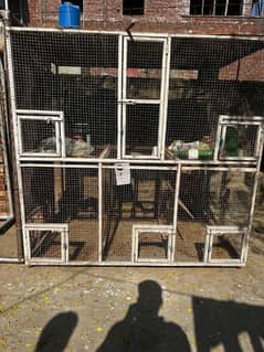 parrot and murge cage