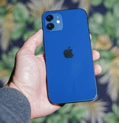 IPHONE 12 BLUE COLOUR  Jv 64GB CONTACT US # 03366664860