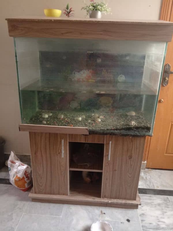 aquarium for sale 0