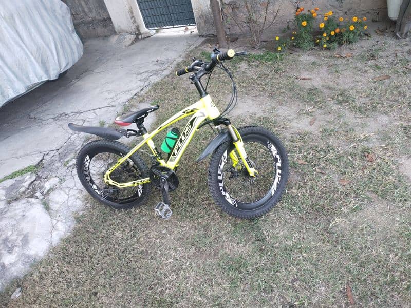 20 inch Bicycle for Sale 1