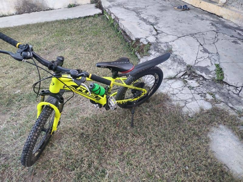 20 inch Bicycle for Sale 5