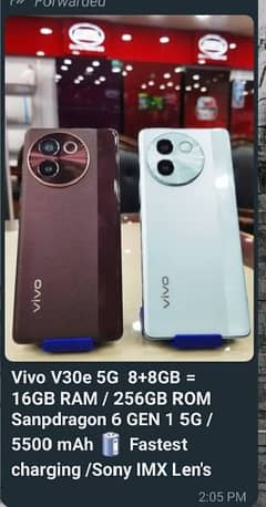 vivo