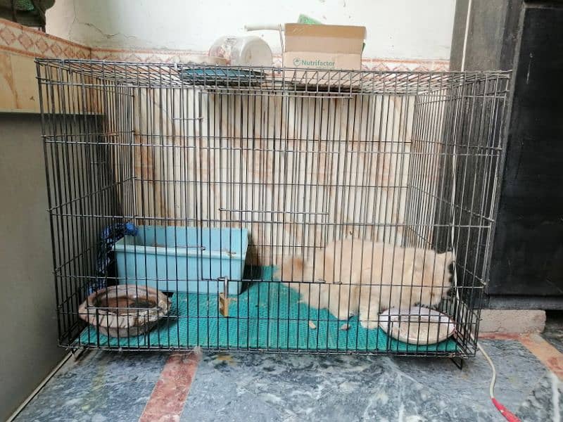 2 birds cage for sale in good condition 0