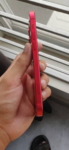 Iphone 12 Red Colour