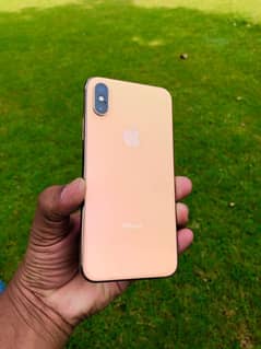 Apple iPhone XS Scratch less Lush Condition