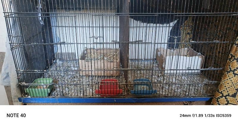 Cage/pinjra 1