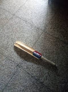 Cricket bat