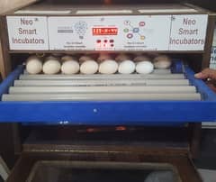 160 Eggs automatic Incubator Neo-Smart