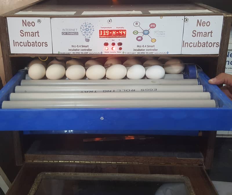 160 Eggs automatic Incubator Neo-Smart 0