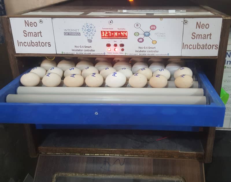 160 Eggs automatic Incubator Neo-Smart 1