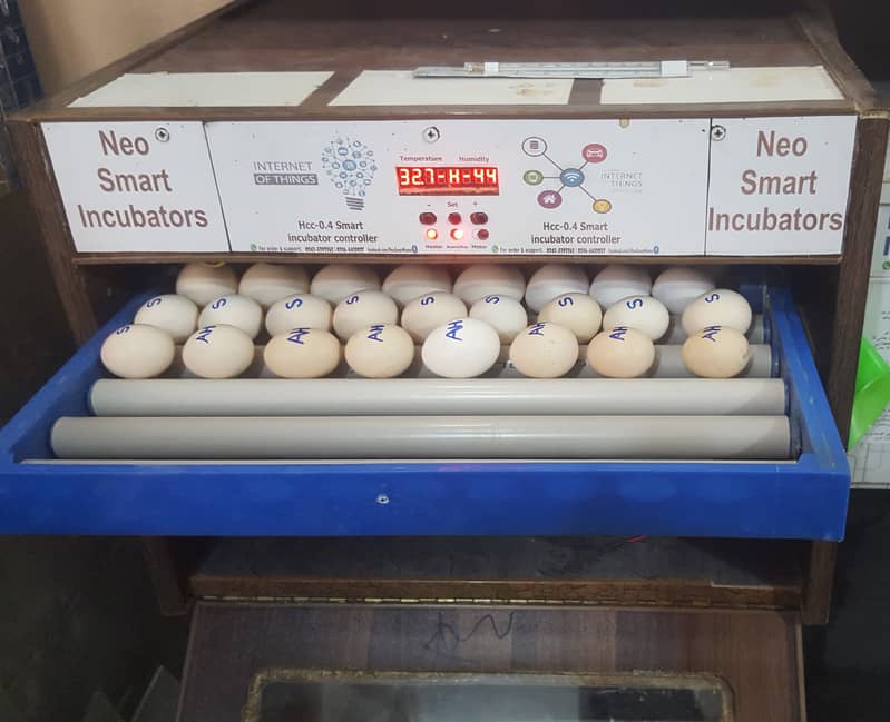 160 Eggs automatic Incubator Neo-Smart 2