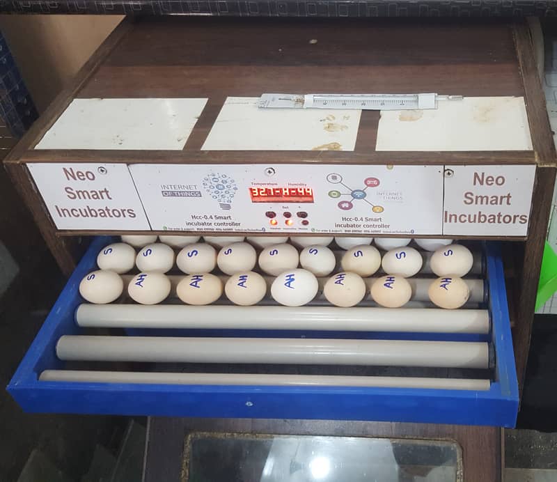 160 Eggs automatic Incubator Neo-Smart 3