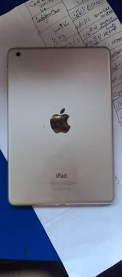 ipad mini2