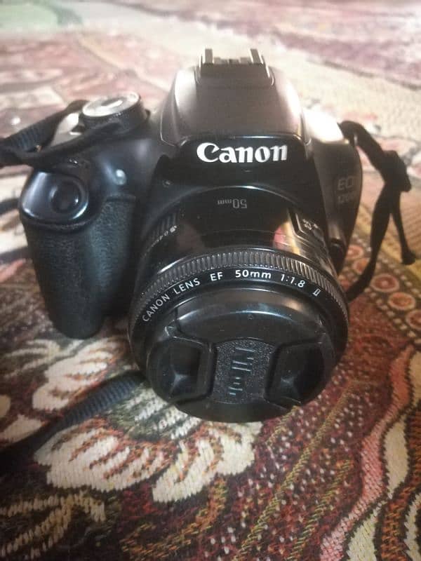 Canon D1200 10/10 condition bathreen result 4