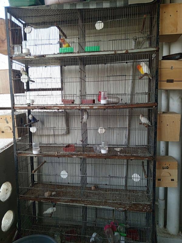 10 portion cage with 5 boxes 1