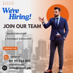 Sales Executive