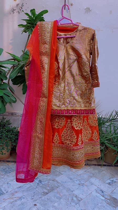 mehendi lehenga 2