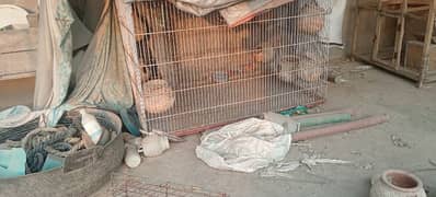 cages for sale only serious customer can contact me