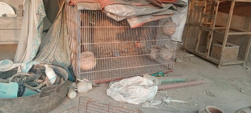 cages for sale only serious customer can contact me 1