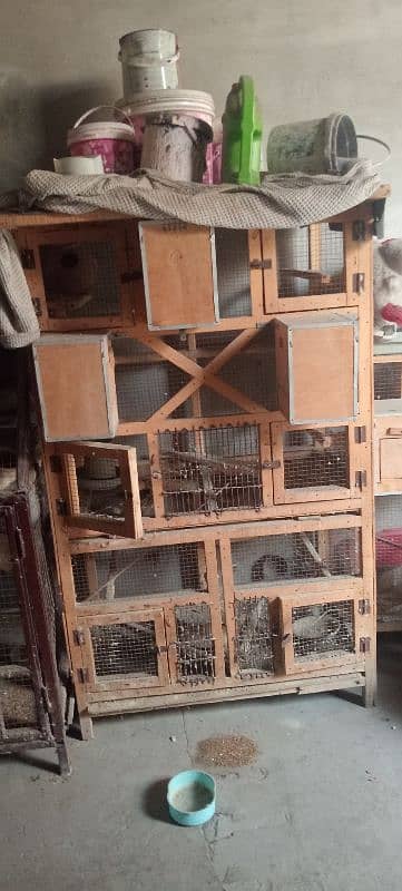 cages for sale only serious customer can contact me 2