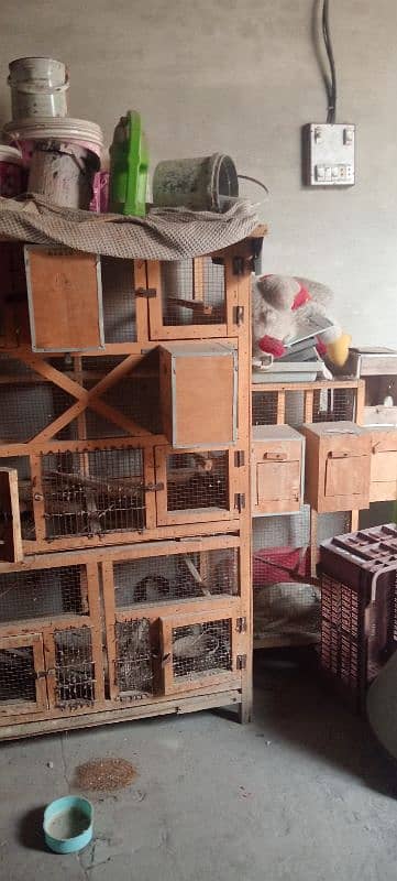 cages for sale only serious customer can contact me 3