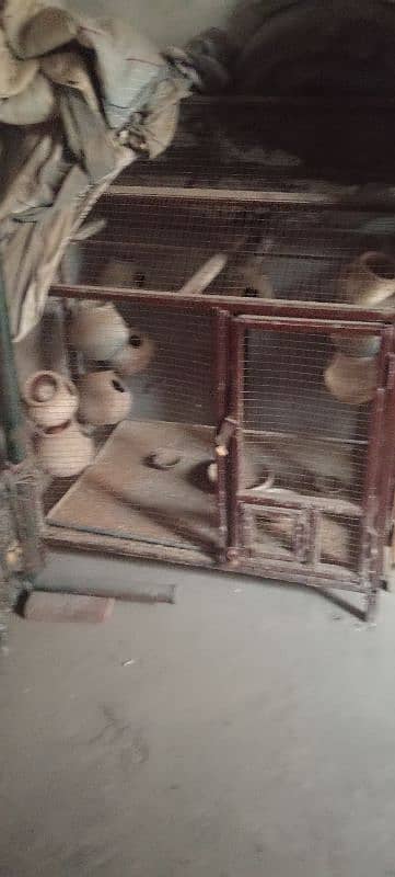 cages for sale only serious customer can contact me 4