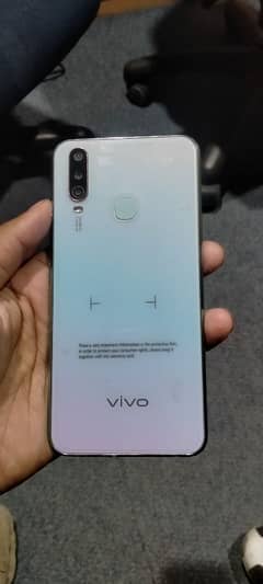 vivo