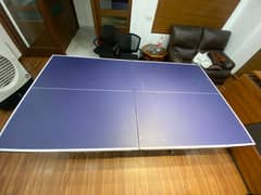 Branded Apollo Sports Table Tennis