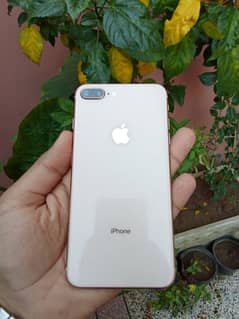 iphone 8 plus non pta