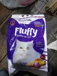 cat food Good quilty