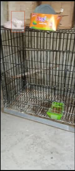 Raw cage for sale