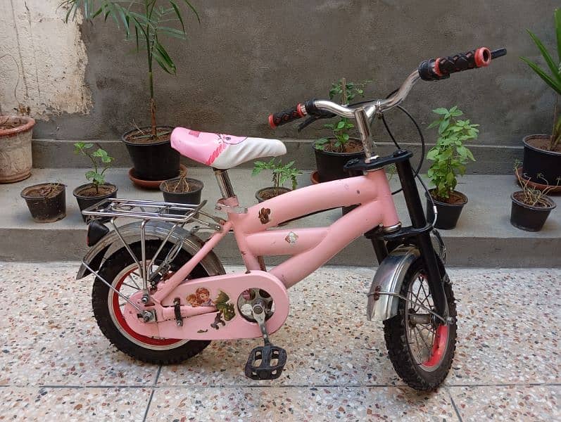 Kids Bicycle 0