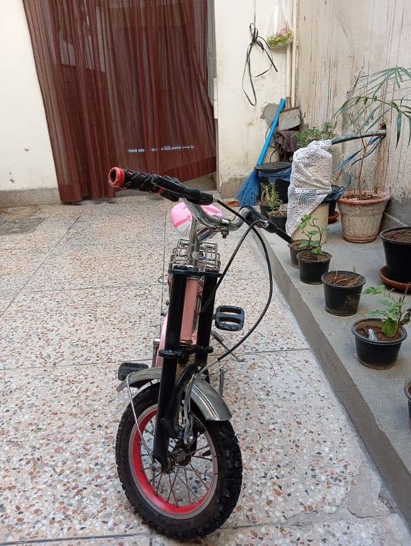 Kids Bicycle 2