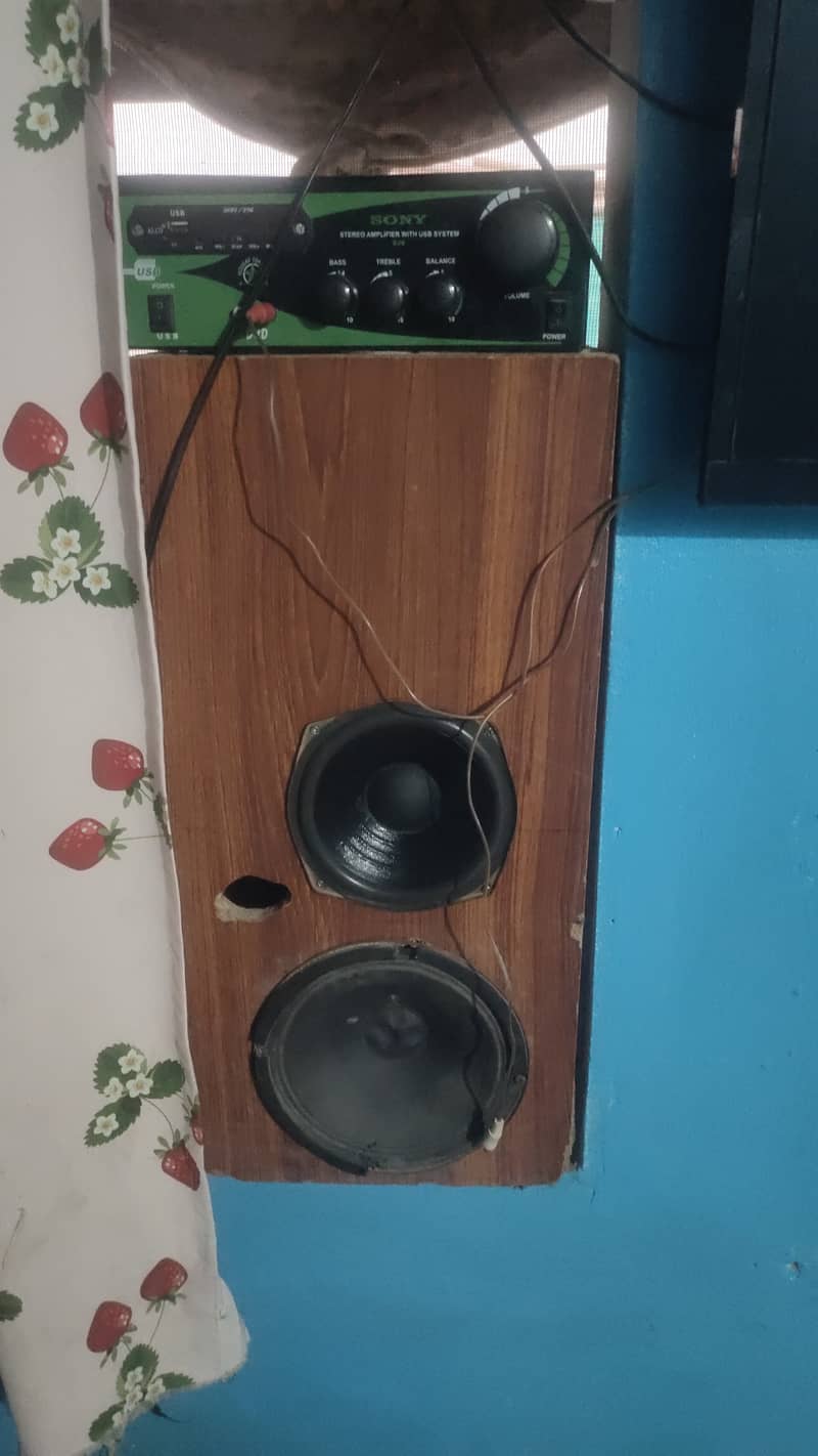 Amplifier With Speakers 1