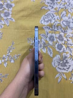 IPhone 13 pro 256 gb battery service condition 10/9 pta approved