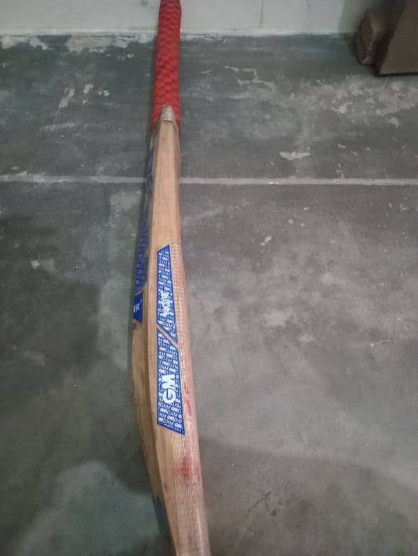 hard ball cricket bat 2