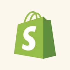 Shopify professional store