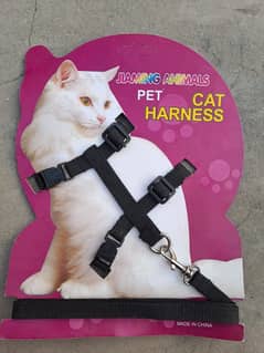 Leather harness leash dogs cats