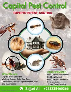 Mosquito/Cockroach/Termite Fumigation/Dengue/pest control Spray