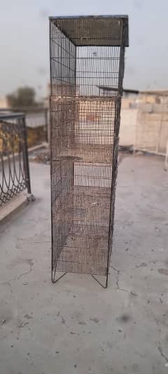 12 portion cage