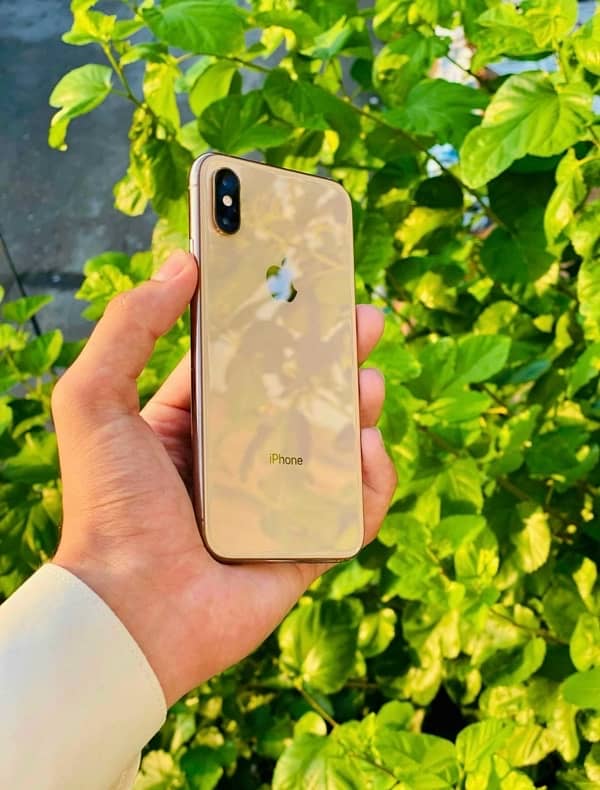 Iphone Xs 64GB Non Pta Factory Unlocked 1