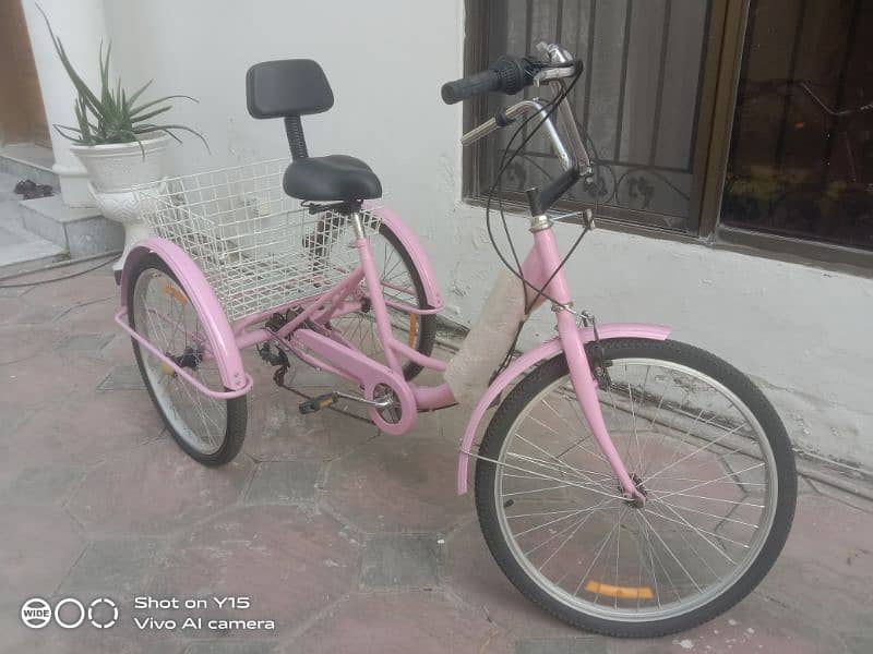 Adult Tricycle with basket cruiser three wheel bike (Gadfever) 0