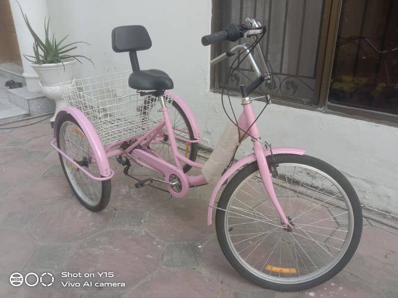 Adult Tricycle with basket cruiser three wheel bike (Gadfever) 1