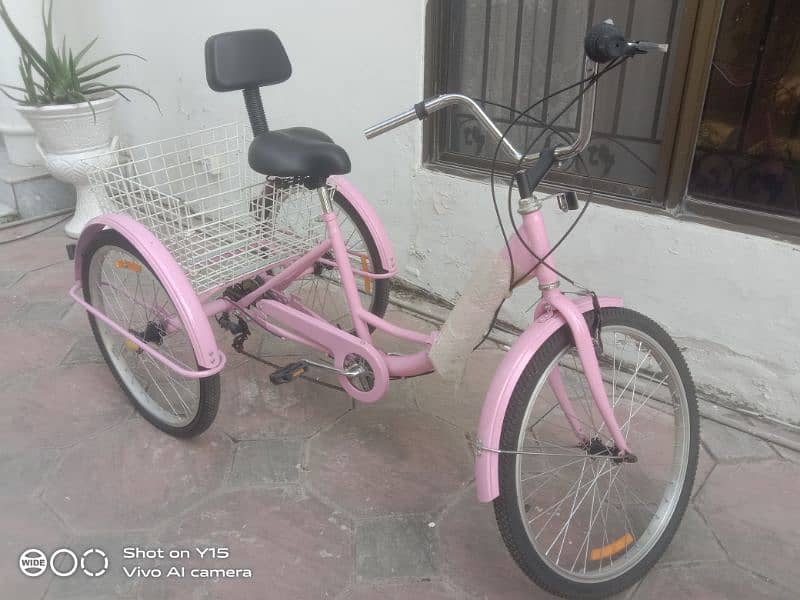 Adult Tricycle with basket cruiser three wheel bike (Gadfever) 2